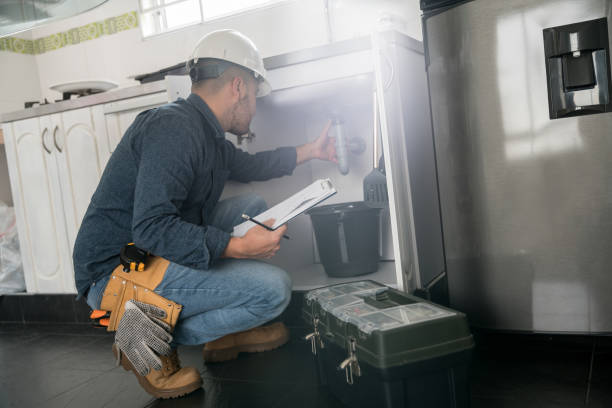 Best Septic Systems  in Meadow Woods, FL