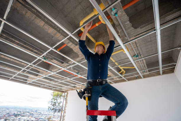 Best Affordable Plumber Near Me  in Meadow Woods, FL