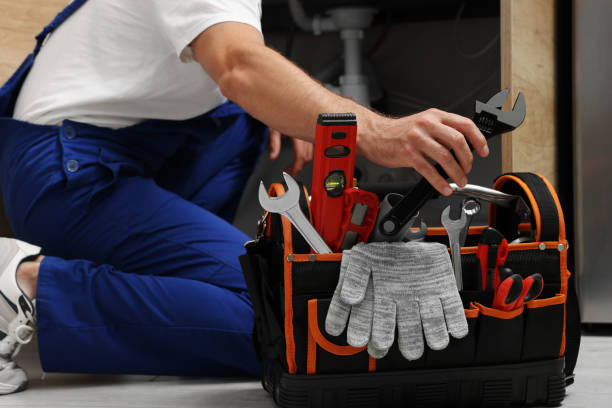 Best Same-Day Plumbing Service  in Meadow Woods, FL