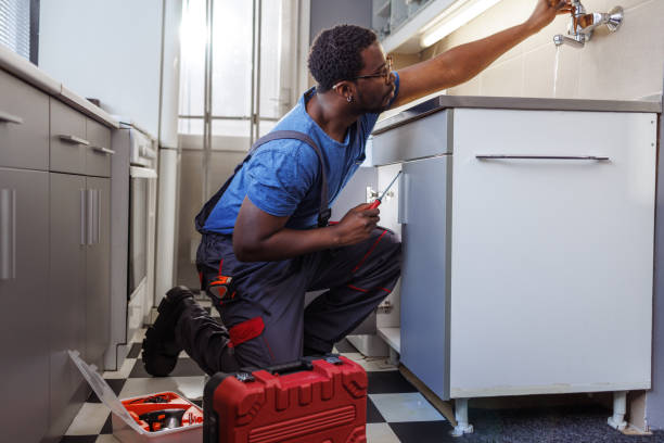 Best Drain Cleaning Services  in Meadow Woods, FL