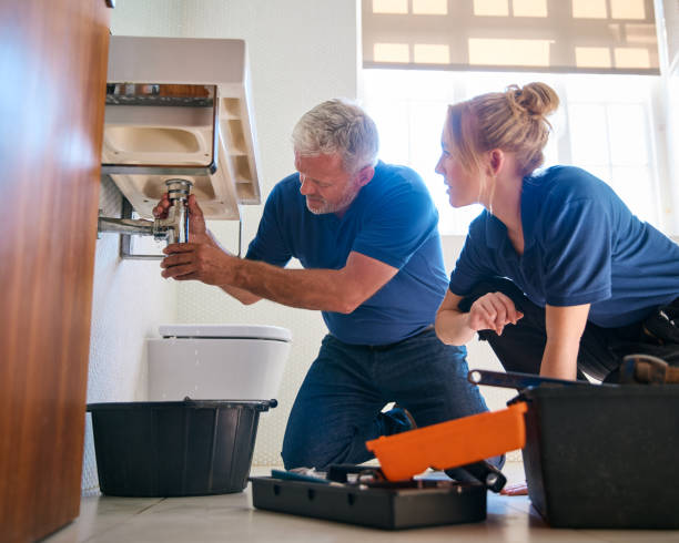 Best Local Plumber Services  in Meadow Woods, FL